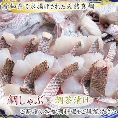 純国産 天然 真鯛 しゃぶしゃぶセット 【雅】～出汁・ポン酢付き～ 岬だより