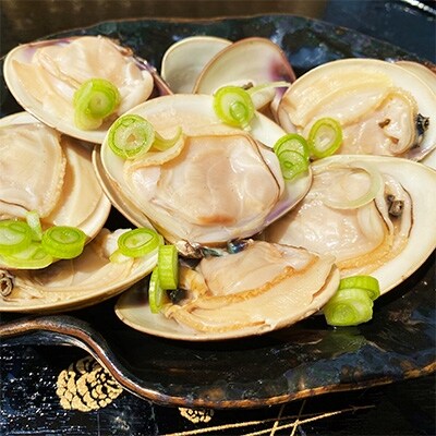 愛知県産 天然はまぐり 大サイズ 冷凍 500g 2袋 お礼品詳細 ふるさと納税なら さとふる