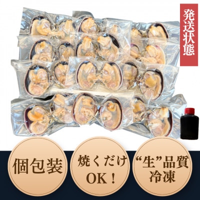 純国産【貝専門店】 天然 大アサリ 知多半島名物 半割り冷凍 特大サイズ 3kg 下処理済み
