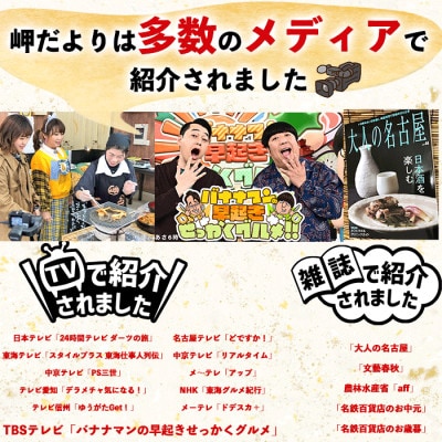 純国産 天然 ふぐ干物 セット(130g×4袋) 岬だより