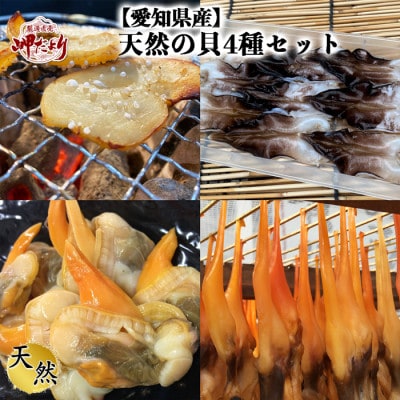 【愛知県産】天然の貝4種セット