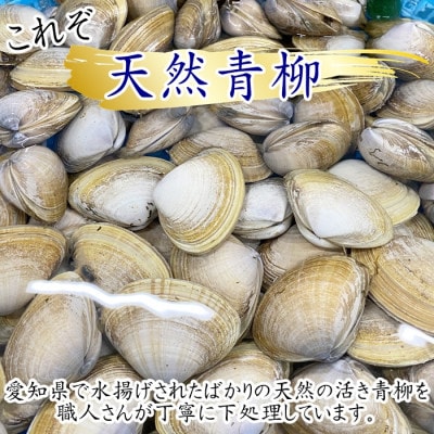【贅沢すぎる】4種の青柳セット