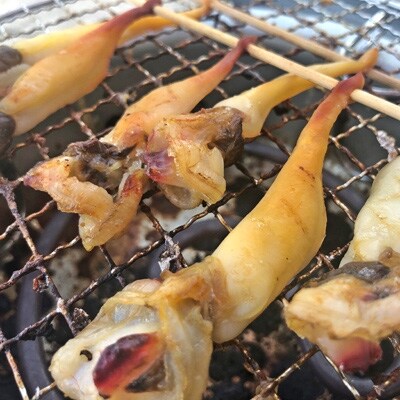 岬だより【貝専門店】の天然青柳から作った串青柳 15串