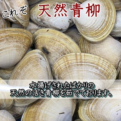 【調理不要!】天然青柳ゆで身セット　150g×5袋