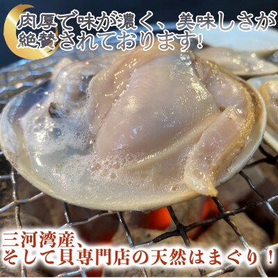 【大変希少な】天然はまぐり 大サイズ 500g×2袋
