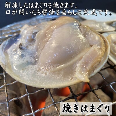 天然はまぐり 殻付ボイル冷凍 大サイズ 500g 2袋 お礼品詳細 ふるさと納税なら さとふる