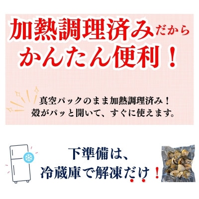 純国産 【貝専門店】 天然 はまぐり 大サイズ 500g×2袋 岬だより