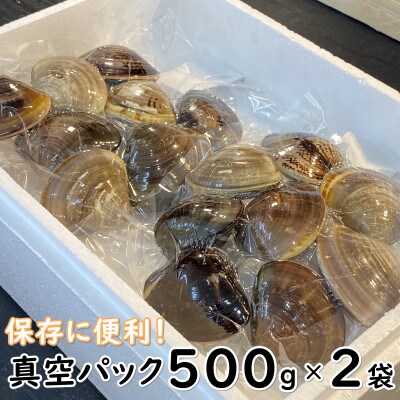 【大変希少な】天然はまぐり 大サイズ 500g×2袋