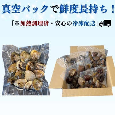 純国産 【貝専門店】 天然 はまぐり 大サイズ 500g×2袋 岬だより