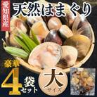 【2025年 先行予約】 純国産 【貝専門店】 天然 はまぐり 大サイズ 500g×4袋 岬だより
