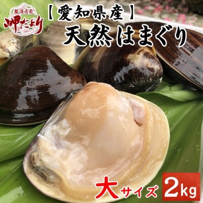 天然はまぐり 殻付ボイル冷凍 大サイズ 500g 4袋 お礼品詳細 ふるさと納税なら さとふる