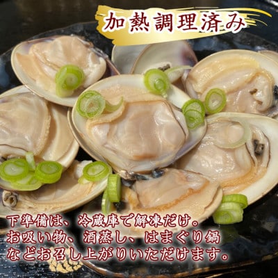 【2025年 先行予約】 純国産 【貝専門店】 天然 はまぐり 大サイズ 500g×4袋 岬だより