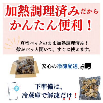 純国産 【貝専門店】 天然 はまぐり 大サイズ 500g×4袋 岬だより