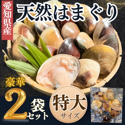 【2025年 先行予約】 純国産 【貝専門店】 天然 はまぐり 特大サイズ 500g×2袋 岬だより