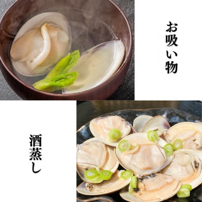 純国産 【貝専門店】 天然 はまぐり 特大サイズ 500g×2袋 岬だより