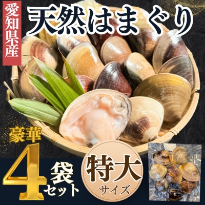 【2025年 先行予約】 純国産 【貝専門店】 天然 はまぐり 特大サイズ 500g×4袋 岬だより