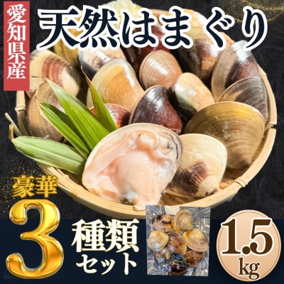 【2025年 先行予約】 純国産 【貝専門店】 天然 はまぐり 3種セット 1.5kg 岬だより