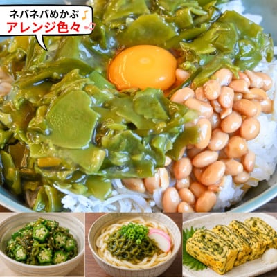 【知多半島産・無添加】刻みめかぶ 5袋セット 小分けパック(100g)|岬だより