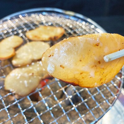 平貝の干物セット(6袋入り)