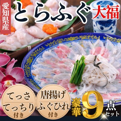 純国産【大満足】 とらふぐ セット (大福) 岬だより
