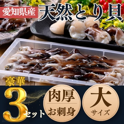 純国産【貝専門店】肉厚 トリ貝 刺身 【大9枚入り】3セット 岬だより