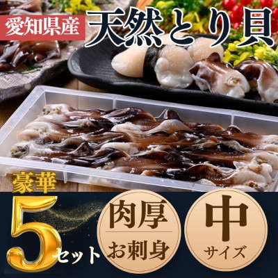 純国産【貝専門店】 肉厚 トリ貝 刺身 【中9枚入り】5セット 岬だより
