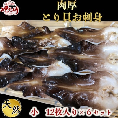 純国産【貝専門店】 肉厚 トリ貝 刺身 【小12枚入り】6セット 岬だより