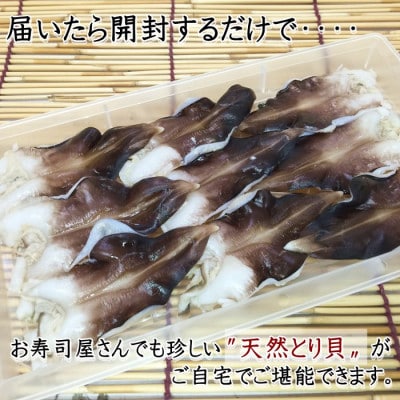 純国産【貝専門店】 肉厚 トリ貝 刺身 【小12枚入り】6セット 岬だより
