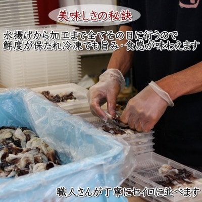 純国産【貝専門店】 肉厚 トリ貝 刺身 【小12枚入り】6セット 岬だより