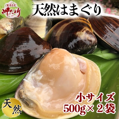 【2025年 先行予約】 純国産 【貝専門店】 天然 はまぐり 小サイズ 500g×2袋 岬だより