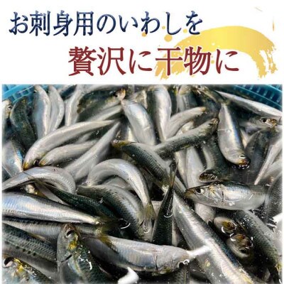 【大好評!】脂の乗ったいわしの丸干し 25本セット