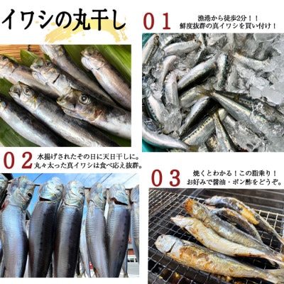 【大好評!】脂の乗ったいわしの丸干し 25本セット