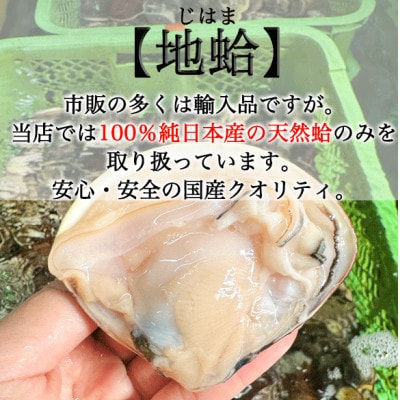 大ぶりサイズの天然はまぐり(約170g×5個) 個包装・加熱調理済み/焼き蛤にピッタリ