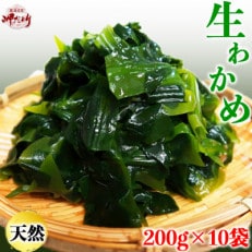【調理不要】食感抜群の生わかめ　200g×10袋