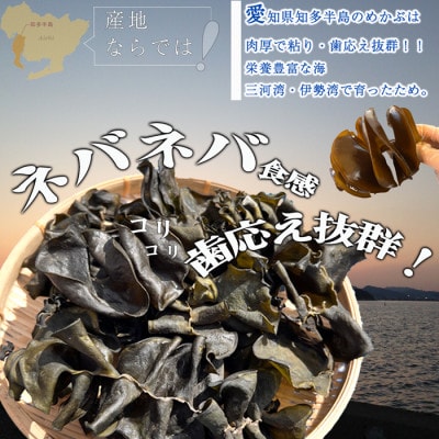 岬だよりのコリコリ食感・粘り抜群の乾燥めかぶ　120g×5袋