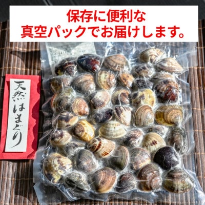 純国産 【貝専門店】 天然 はまぐり お吸い物サイズ 500g×4袋