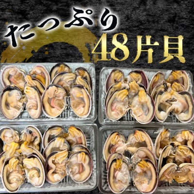 岬だよりの【天然】大あさり釣り餌用 6個入り×4袋セット