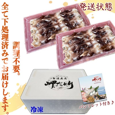 純国産【見た目訳あり】 トリ貝 刺身 (特大9枚入り) 2セット 貝専門店 岬だより