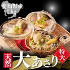 【希少!漁師直送】純国産 天然大アサリ 半割り冷凍 特大サイズ1kg|バーベキューに・下処理済み