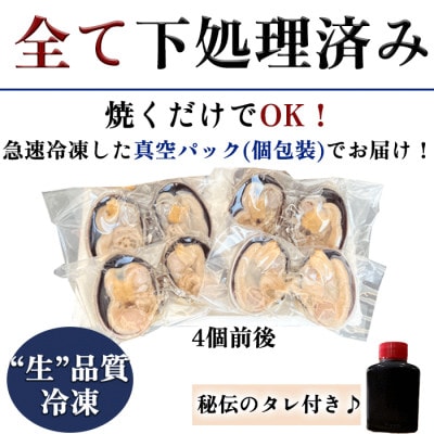純国産【貝専門店】 天然 大アサリ 知多半島名物 半割り冷凍 特大サイズ 1kg 下処理済み