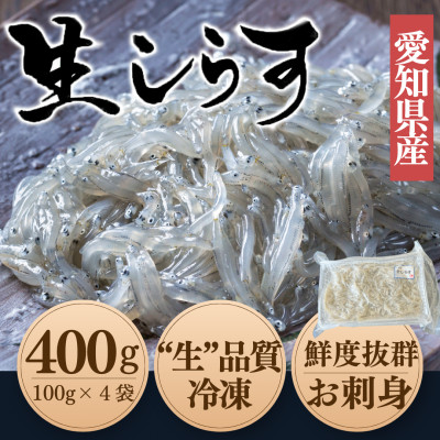 純国産【知多半島産】 生しらす 刺身 400g(100g×4個) 岬だより