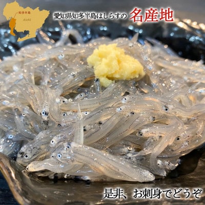純国産【知多半島産】 生しらす 刺身 400g(100g×4個) 岬だより
