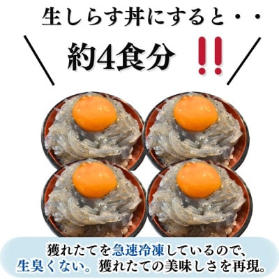【南知多直送】天然生しらす 400g(100g×4袋)純国産・お刺身<岬だより>