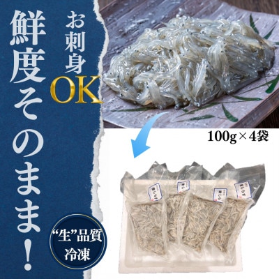 純国産【知多半島産】 生しらす 刺身 400g(100g×4個) 岬だより