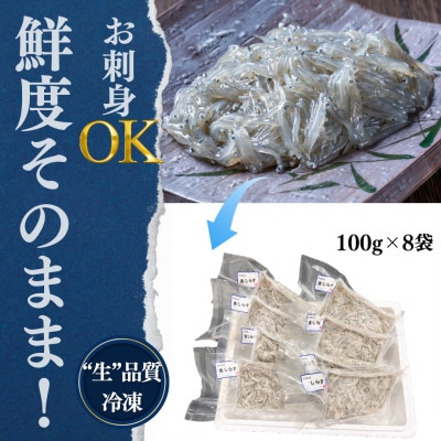純国産【知多半島産】 生しらす 刺身 800g(100g×8個) 岬だより