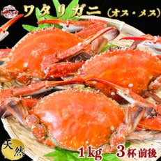 【大好評】天然 ボイル ワタリガニ (オス・メス)1kg [3杯前後]