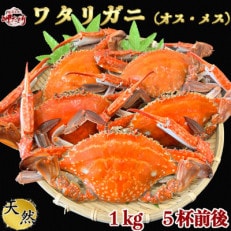 【大好評】天然 ボイル ワタリガニ(オス・メス)1kg[5杯前後]