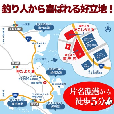 岬だよりの【釣ったお魚プロが代わりに下処理します】魚捌き券(3000円相当)