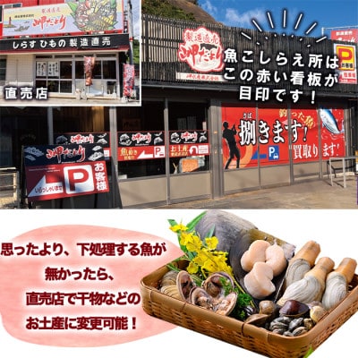 岬だよりの【釣ったお魚プロが代わりに下処理します】魚捌き券(6000円相当)