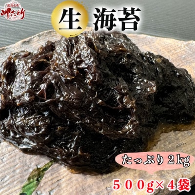【数量限定】 生海苔 (冷凍) 500g×4袋(2kg) 岬だより